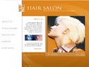 Model Agency Flash template