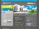 Business Flash template